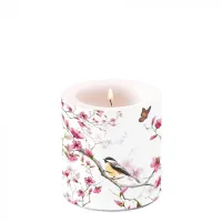 Kaars Bird & Blossom